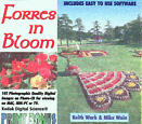 Forres in Bloom Cover Link